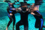 Crystal River Manatee Snorkel Tour Experience