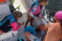 Crystal River Scalloping Adventure Excursion