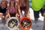 Crystal River Scalloping Adventure Excursion
