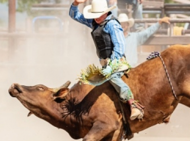 Discover the Best Bull Ride Experiences Near You