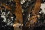 St. Augustine Dark History Ghost Tour
