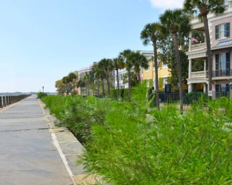 Charleston Historic Architecture Walking Tour
