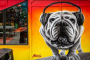 Denver Graffiti and Street Art Tour