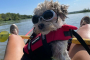 Starved Rock Kayaking Wildlife Adventure