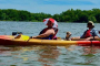 Starved Rock Kayaking Wildlife Adventure