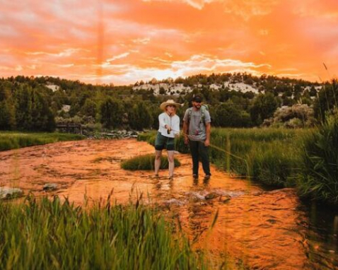 Alton Guided Fly Fishing Experience