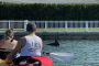 Don Pedro Island Kayaking Eco Tour