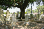 New Orleans Self-Guided Haunted Audio Tour