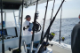 North Palm Beach Ultimate Boat Adventure
