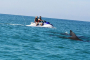 Fort Walton Beach Jet Ski Adventure Experience