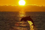 Fort Walton Beach Sunset Pontoon Cruise
