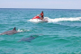 Fort Walton Beach Dolphin Jetski Adventure