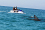 Fort Walton Beach Dolphin Jetski Adventure