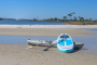 Fort Walton Beach Paddleboard Rental Adventure