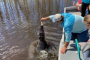 Vacherie Airboat and Plantation Tour Adventure