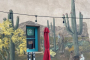 Tucson Historical Walking Tour Experience