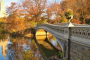 New York Central Park Guided Discovery Tour