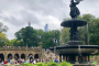 New York Central Park Guided Discovery Tour
