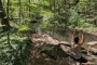 Central Park Sunrise Guided Hiking Experience