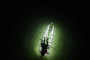 Anna Maria Island Clear Kayak Adventure Tour