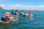 Sarasota Clear Kayak Ocean Wildlife Exploration
