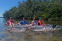 Sarasota Clear Kayak Ocean Wildlife Exploration