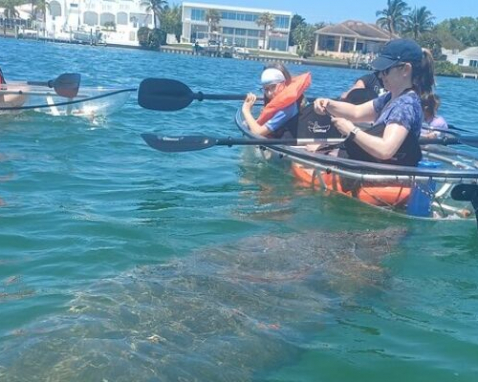Anna Maria Island Clear Kayak Adventure Tour