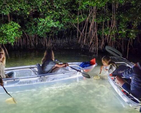 Terra Ceia Clear Kayak LED Night Tour