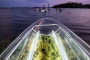 Terra Ceia Clear Kayak LED Night Tour