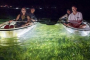 Terra Ceia Clear Kayak LED Night Tour