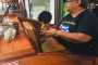 Miami Little Havana Private Cultural Walking Tour