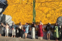 Miami Wynwood Art District Guided Walking Tour
