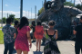 Miami Wynwood Art District Guided Walking Tour