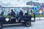Miami Wynwood Street Art Golf Cart Tour