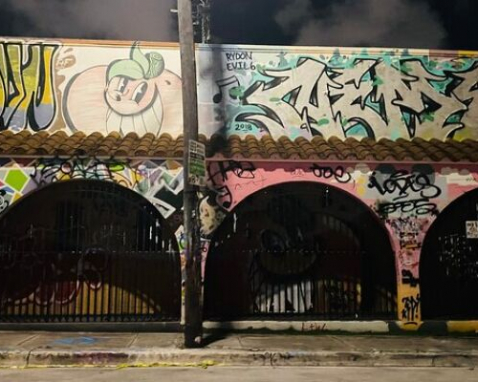Miami Night Art Cart Tour with Guide