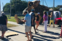 Wynwood Street Art Walking Tour
