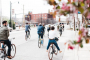 Oklahoma City Brewery Bicycle Tour Experience