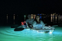 Sarasota Clear Kayak LED Glass Bottom Tour