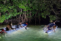 Sarasota Clear Kayak LED Glass Bottom Tour