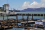 San Francisco Waterfront Historical Walking Tour