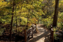 New York Personalized Central Park Tour