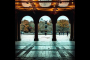 New York Personalized Central Park Tour