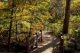 New York Personalized Central Park Tour