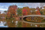 New York Personalized Central Park Tour