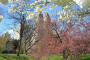 New York Personalized Central Park Tour
