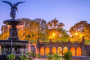 New York Personalized Central Park Tour