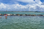Panama City Beach Dolphin Snorkeling Adventure