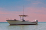 Panama City Beach Dolphin Snorkeling Adventure