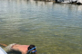 Panama City Beach Dolphin Snorkeling Adventure