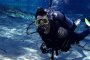 Crystal River Manatee and Rainbow River Tour